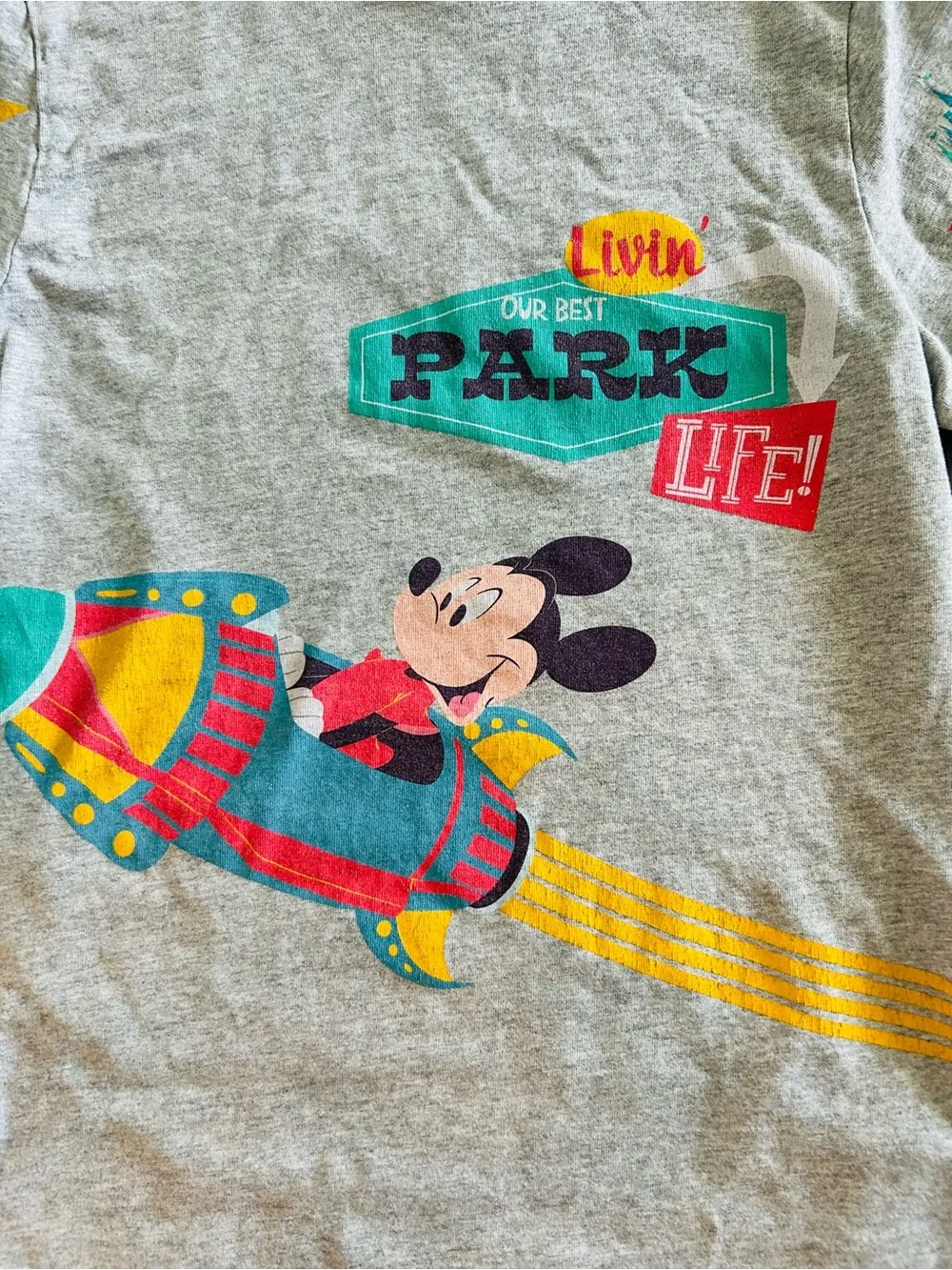 Vintage Disney Parks Living the Park Life (10/12 youth) T shirt